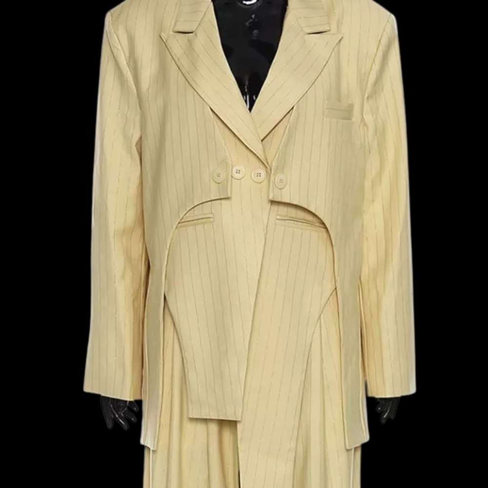 Pinstripe Blazer asymmetrical